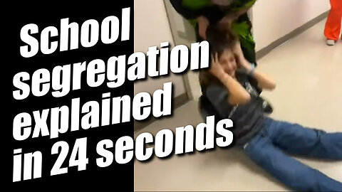 School segregation explained in 24 seconds