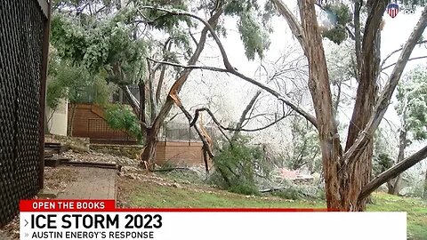 CBS Austin: Why Wasn't Austin Energy Tree Trimming Ahead of Ice Storm?