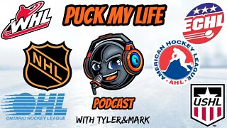 Our Story, Stanley Cup Madness, Game Experiences: Puck My Life Podcast Episode 1