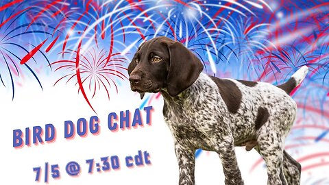 Did Fireworks Make My Dog Gun Shy? - Bird Dog Chat With Ethan And Kat