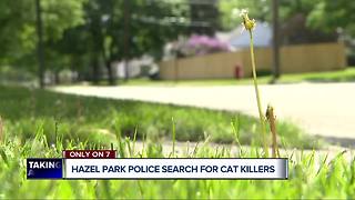 Hazel Park searching for cat killer