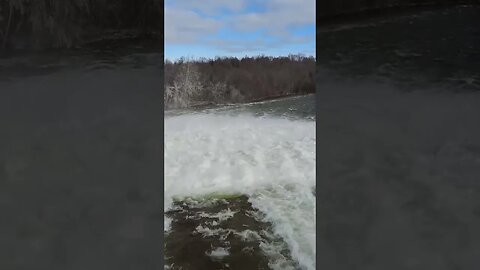 Healey Falls On The Trent River #shorts #shortvideo