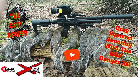 Grey Squirrel Shooting With The BRK Ranger XR