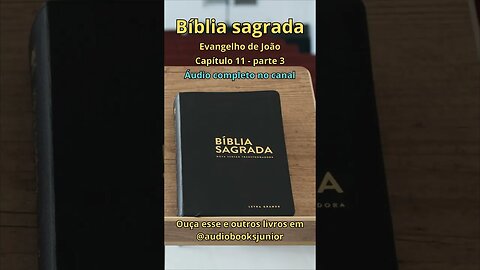 Bíblia Sagrada - Evangelho de João - Capítulo 11 - parte 3