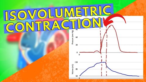 Isovolumetric Contraction