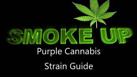 Purple Cannabis Strain Guide - STRAIN TV