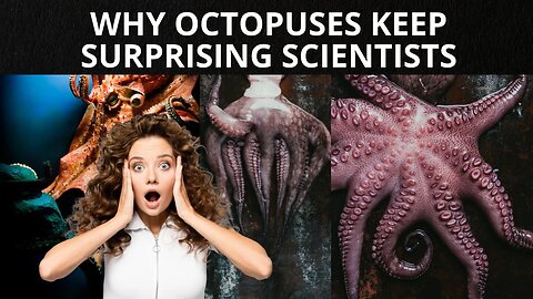 3 REASONS WHY OCTOPUSES KEEP SURPRISING SCIENTISTS