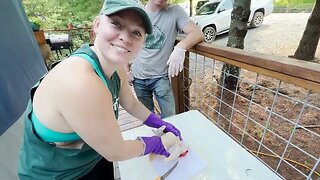 #81 Processing chickens: Our first time on the homestead