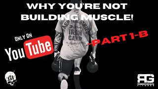 Why You're Not Building Muscle! Part 1-B Training Splits / Intensity / and more !