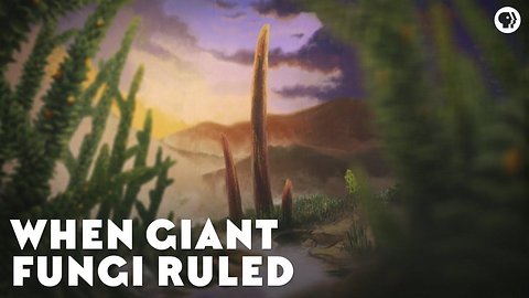 When Giant Fungi Ruled
