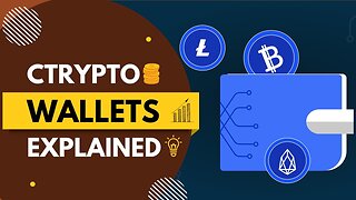 Crypto Wallets Explained for Beginners | What are Crypto Wallets