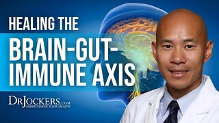 Addressing the Brain-Gut-Immune Axis for Chronic Conditions with Dr. Peter Kan