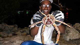 Florida Keys Bridge Fishing (Tarpon, Goliath Grouper, Jack) Spider Crab *Catch and Cook*