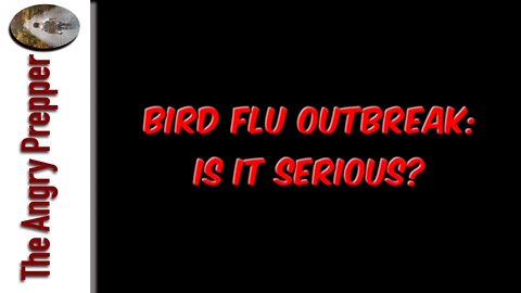 Bird Flu Outbreak: Is it Serious?