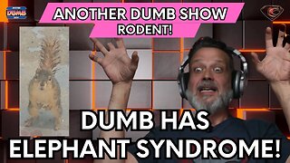 Dumb has Elephant Syndrome