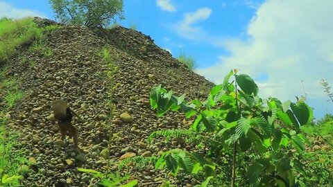 Jungle my life | Sleeping Man and met crocodile | Cook crocodile eggs with banana for Eating-2