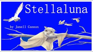 Stellaluna | by Janell Cannon | Read Aloud