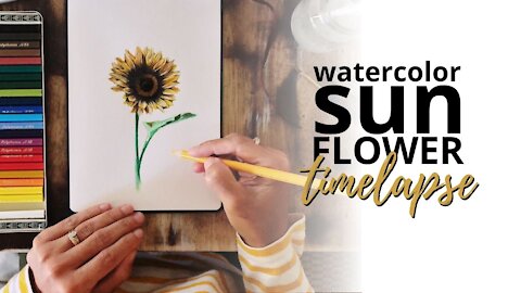 Watercolor Sunflower Painting