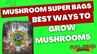 All In One Manure mushroom SUPER Grow bag | Sterilized | Fully hydrated and Ready 2 Rock!! Your ?’s