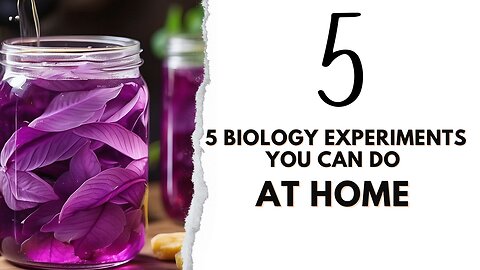 "Unleash Your Inner Scientist: 5 Captivating Biology Experiments for Home Exploration!"