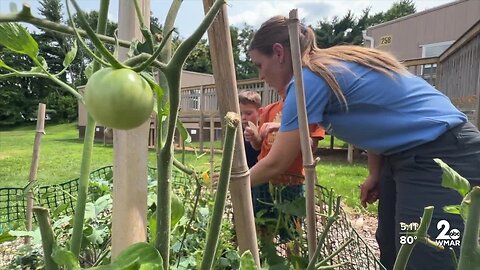 Students in Howard County gain their green thumbs