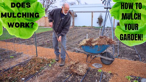 Maximize Your Garden Potential with Mulching! Healthy Soil Biology & Cover Crops Tips by Dan