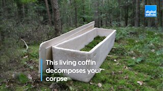 This living coffin decomposes your corpse