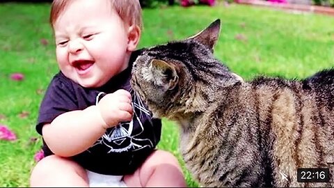 Cute babies play with dog and cat completion