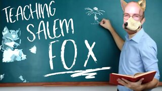 Mew2King Teaches Salem Melee Fox