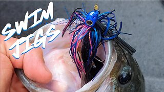 How to Pick the RIGHT Swim Jig!
