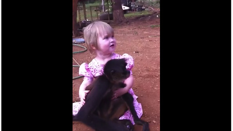 Pet monkey adorably cuddles with little girl