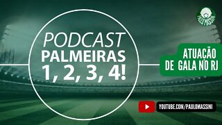 PALMEIRENSE NÃO TEM UM DIA DE PAZ! SEGUE O LÍDER CO CAMPEONATO BRASILEIRO.