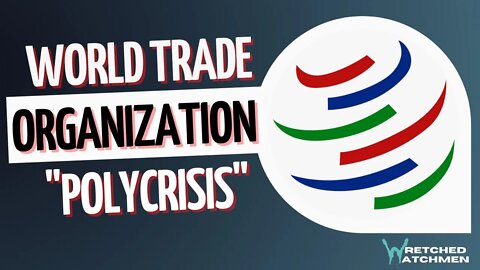 World Trade Organization: "Polycrisis"