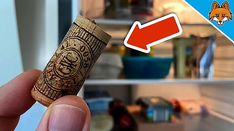 That's why EVERYONE should put a CORK in the Fridge 💥 (GENIUS Trick) 🤯