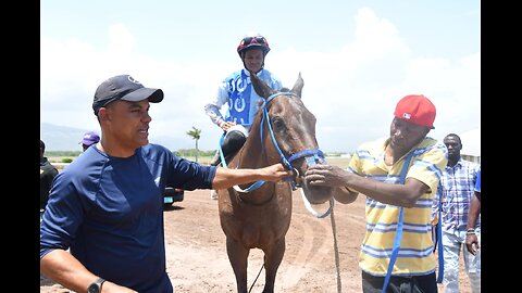 JAMAICA RACING: Crimson Easily Takes Sat, May 11, 2024, 2nd