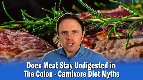 Does Meat Stay Undigested in The Colon - Carnivore Diet Myths