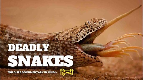 Deadly Snakes - Africa, हिन्दी डॉक्यूमेंट्री | Wildlife documentary in Hindi