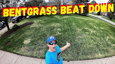 HOW TO GET RID OF BENTGRASS IN YOUR LAWN FOR BEGINNERS