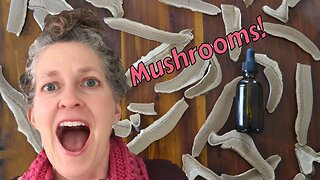 Benefits of Reishi Mushrooms!