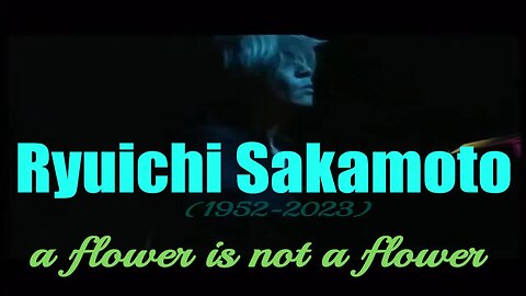 Ryuichi Sakamoto A Flower Is Not A Flower