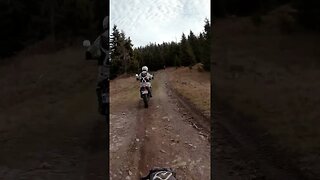 Ii dam sau... | Husqvarna 701 LR #shorts #enduro #motocerbii