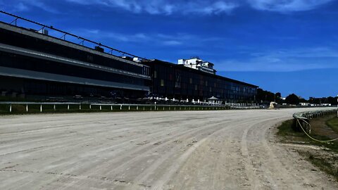 Walk the Suffolk Downs Track revere sand Castles and Henri - TWE 0303