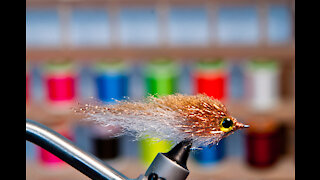 EP Style Minnow Streamer Fly - Underwater Footage! - Saltwater and Freshwater