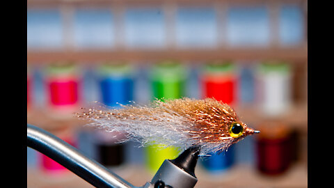 EP Style Minnow Streamer Fly - Underwater Footage! - Saltwater and Freshwater