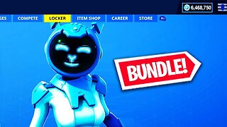 The NEW SKIN BUNDLE in Fortnite.. (Gemini Skin)