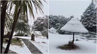 Snow falls in South Africa in summertime