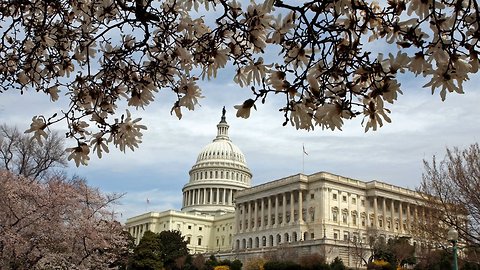 Senate Judiciary Committee Delays Vote On Mueller Protection Bill