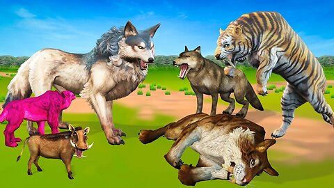 बाघ शावक और भेड़िया की लड़ाई - जंगली कहानी | Jungle Battle: Tiger Cub vs. Wolf | Moral Hindi Stories