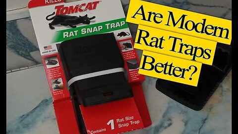 Tomcat Rat Trap Review: Does It Live Up to the Hype? Watch to Find Out!