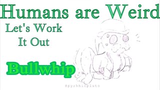 Humans are Weird - Bullwhip - Let's Work It Out